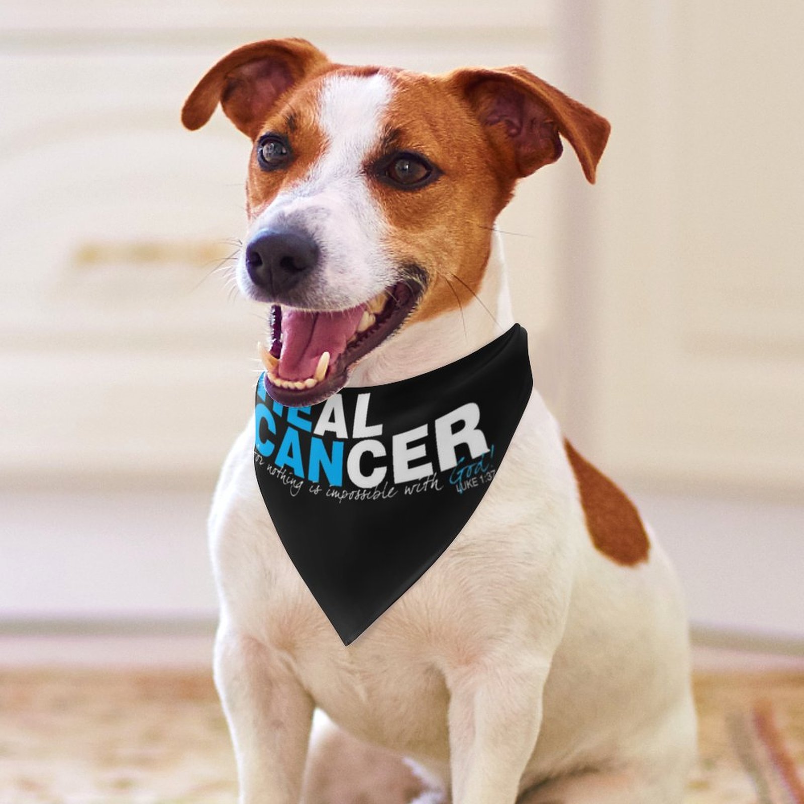 Cancer Awareness "He Can" Pet Scarf Pet Scarf