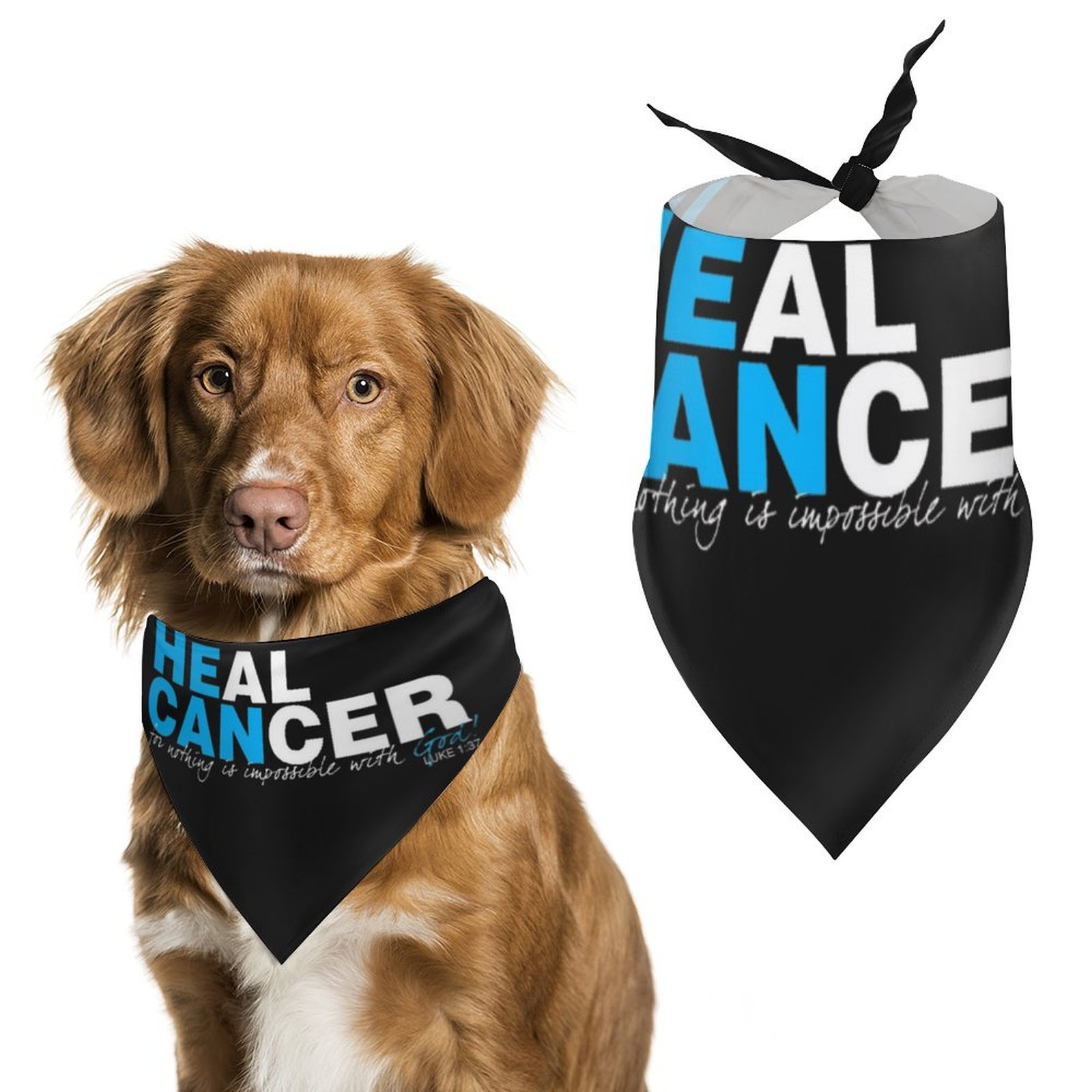 Cancer Awareness "He Can" Pet Scarf Pet Scarf