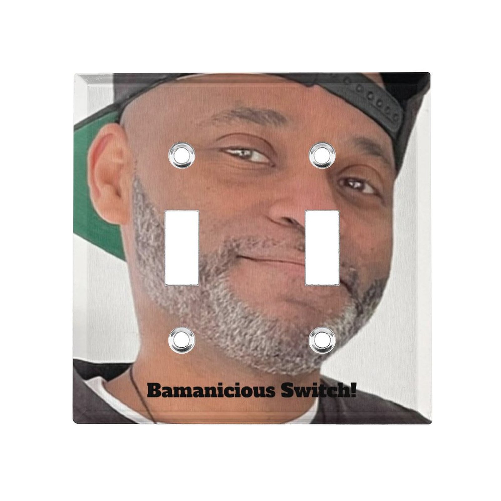 American Switch Panel (Double Holes)