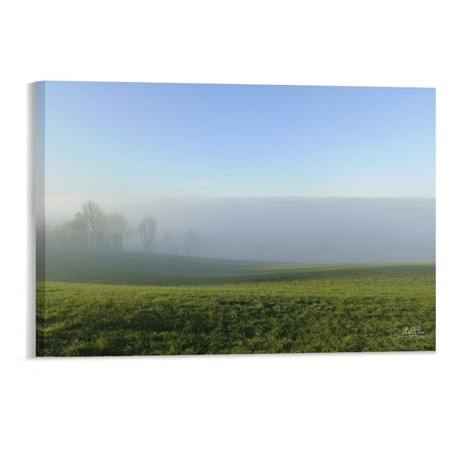 Ardennes Blue fog