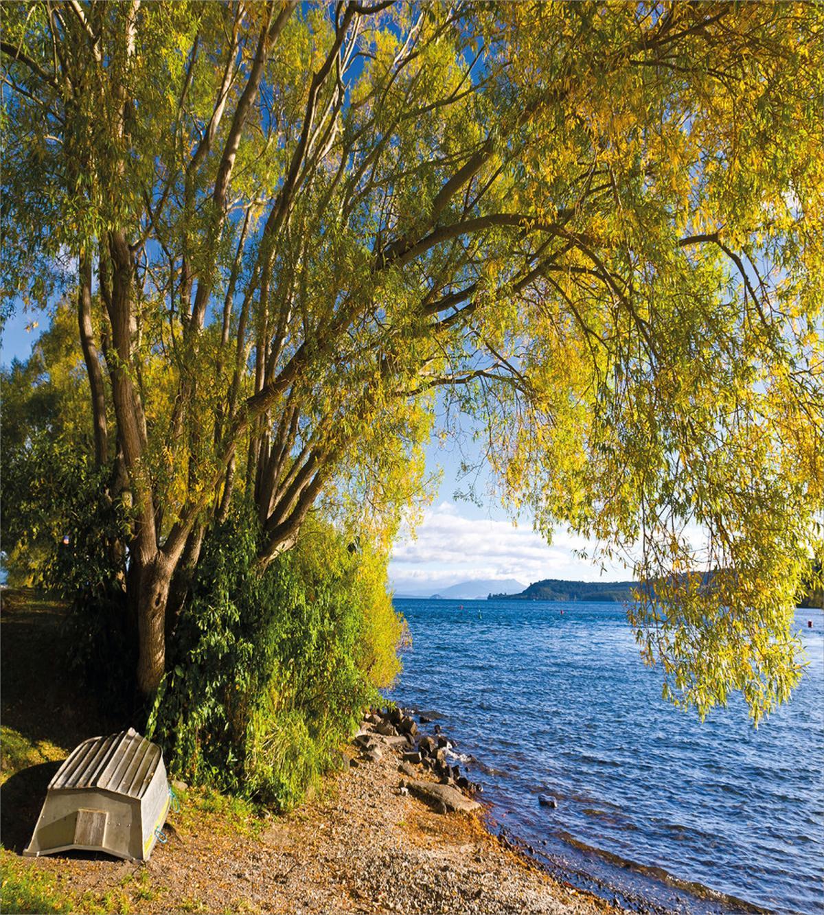 Boat Under the Tree — Pattern