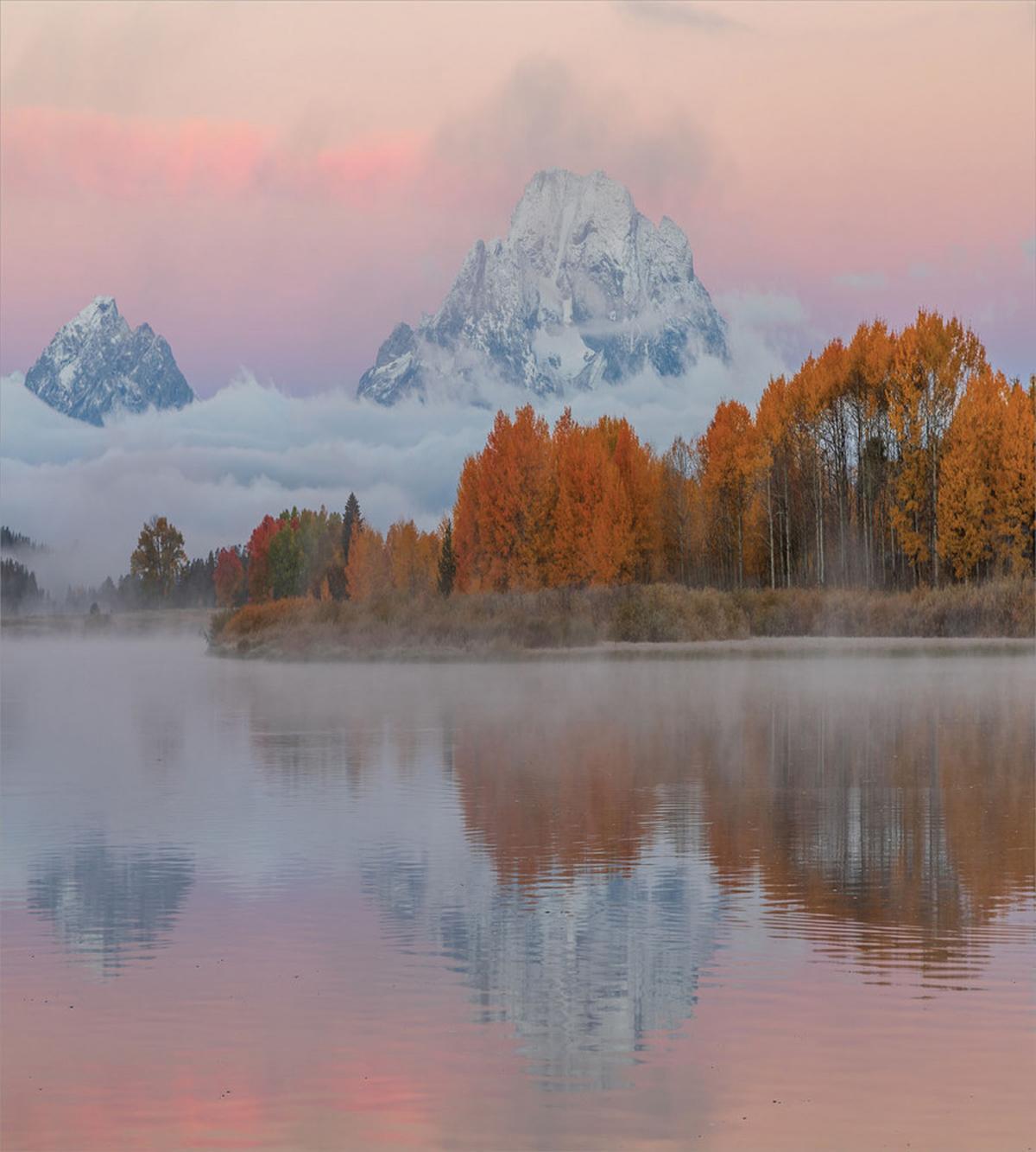 Outdoorsy Pink Sky Forest — Pattern