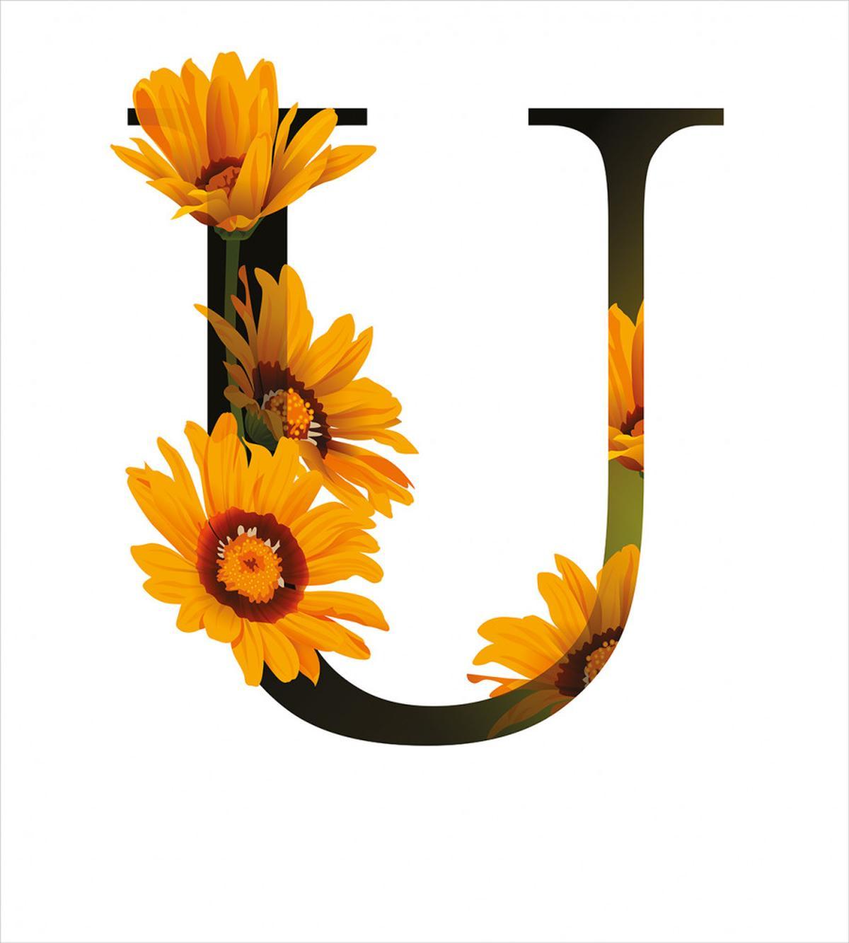 Ursinia Floral Design — Pattern
