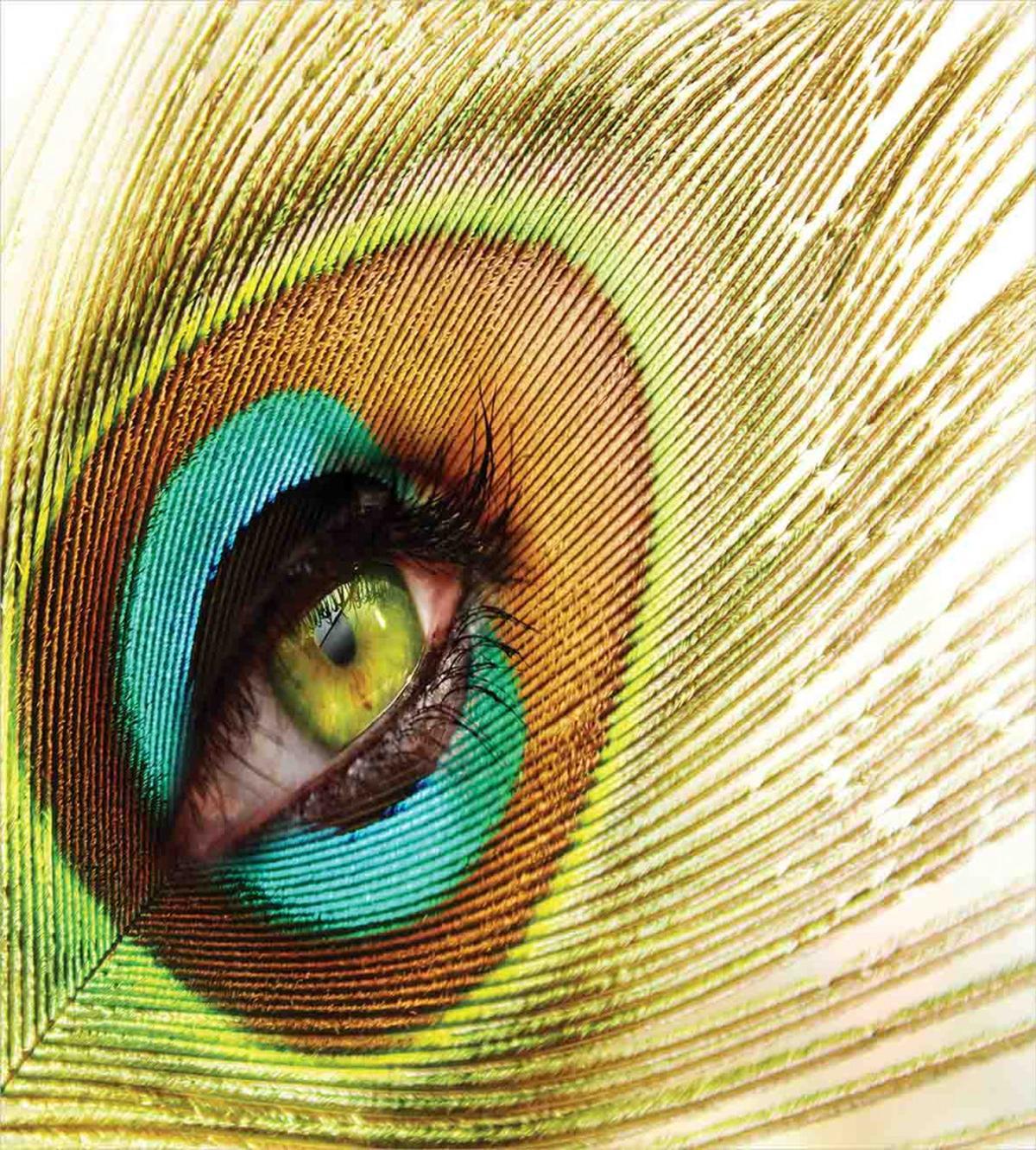 Peacock Feather Eye — Pattern