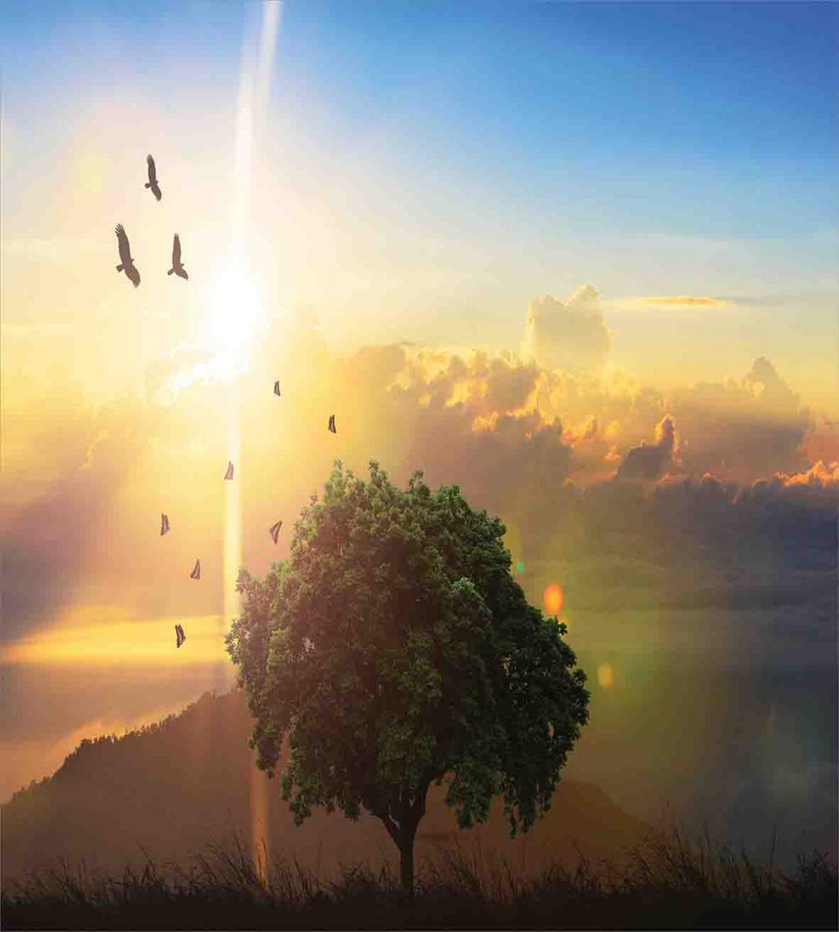 Romantic Fairy Sunset View — Pattern