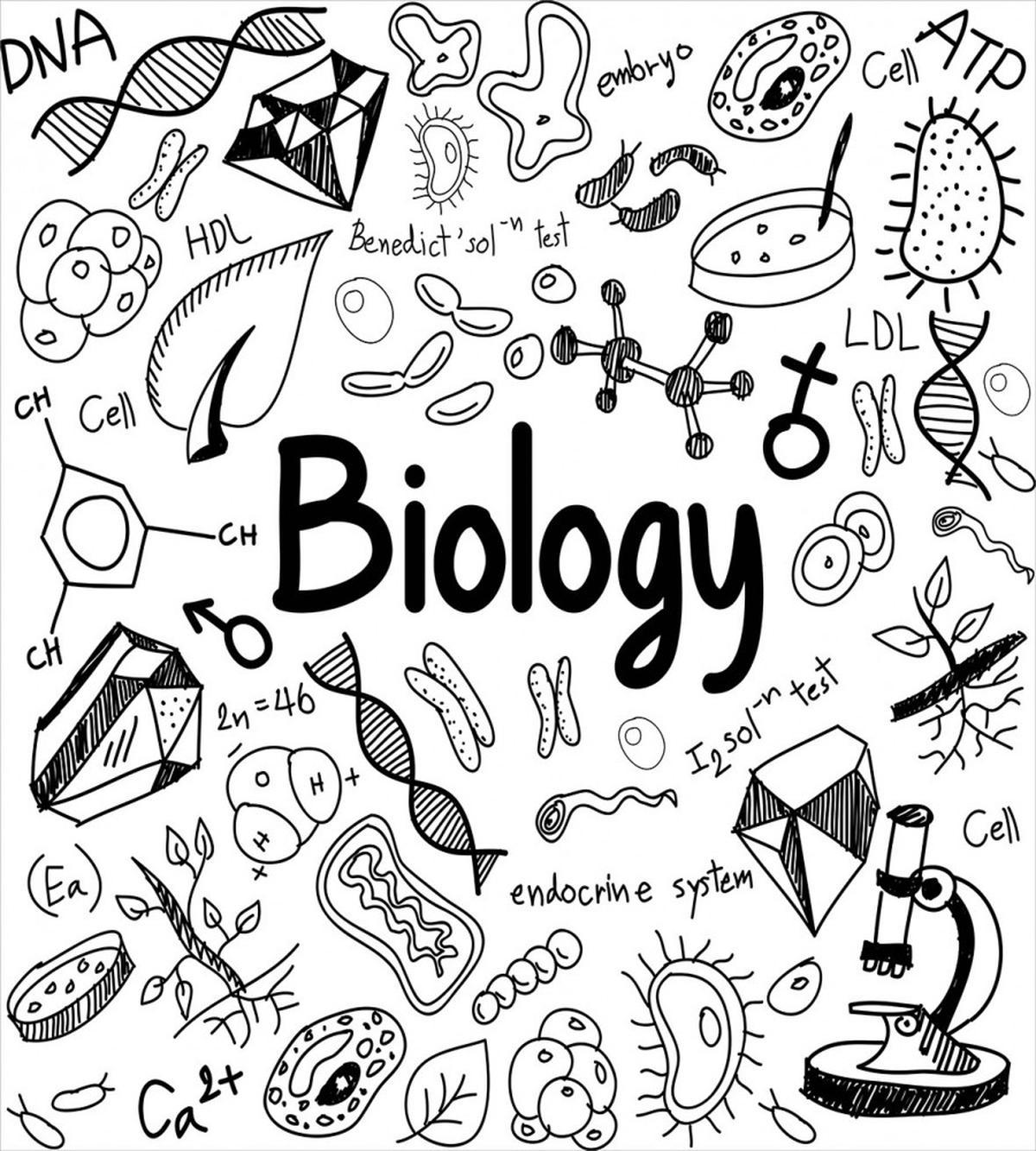 Hand-writing School Lab — Pattern