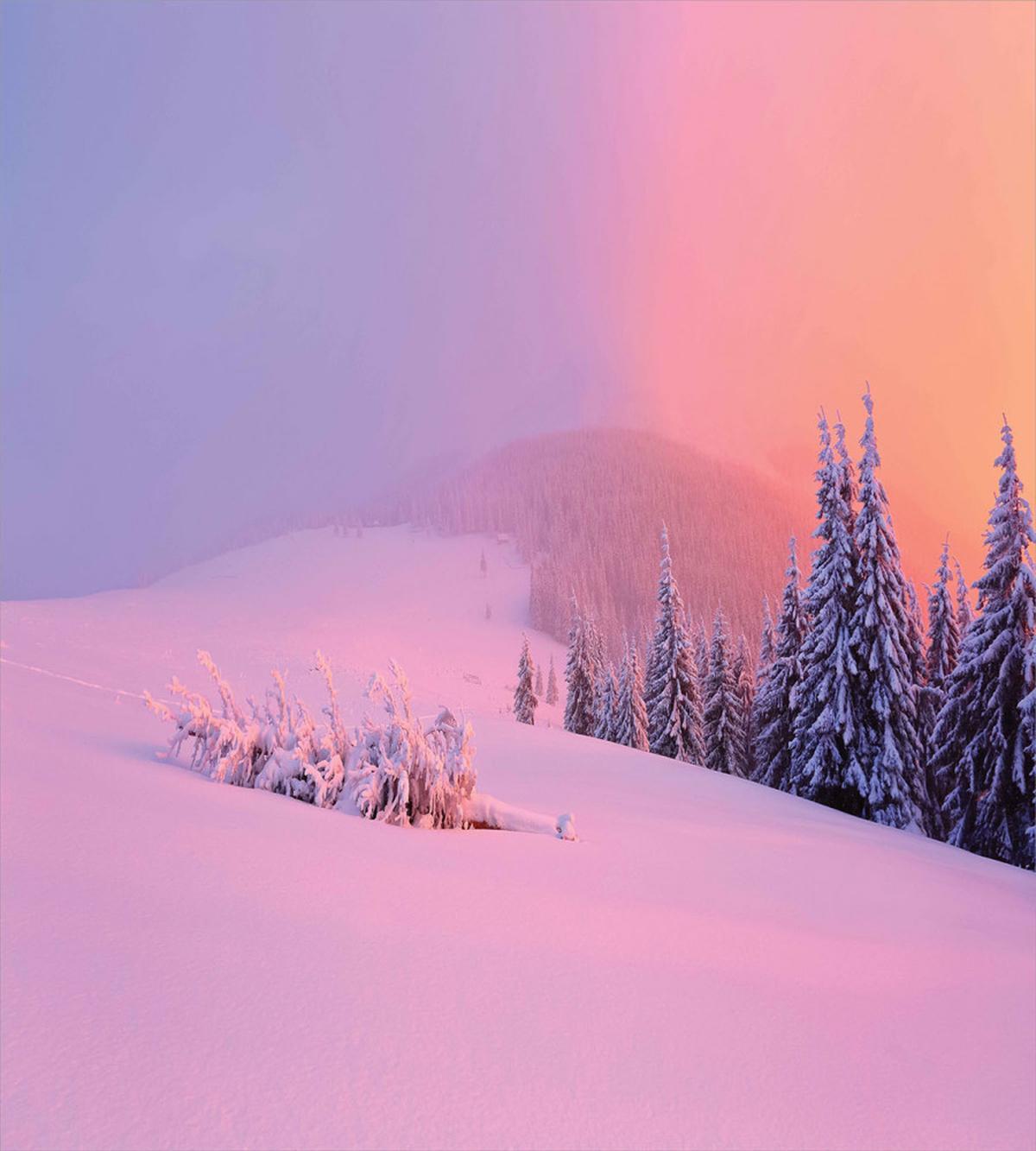 Winter Scenery — Pattern