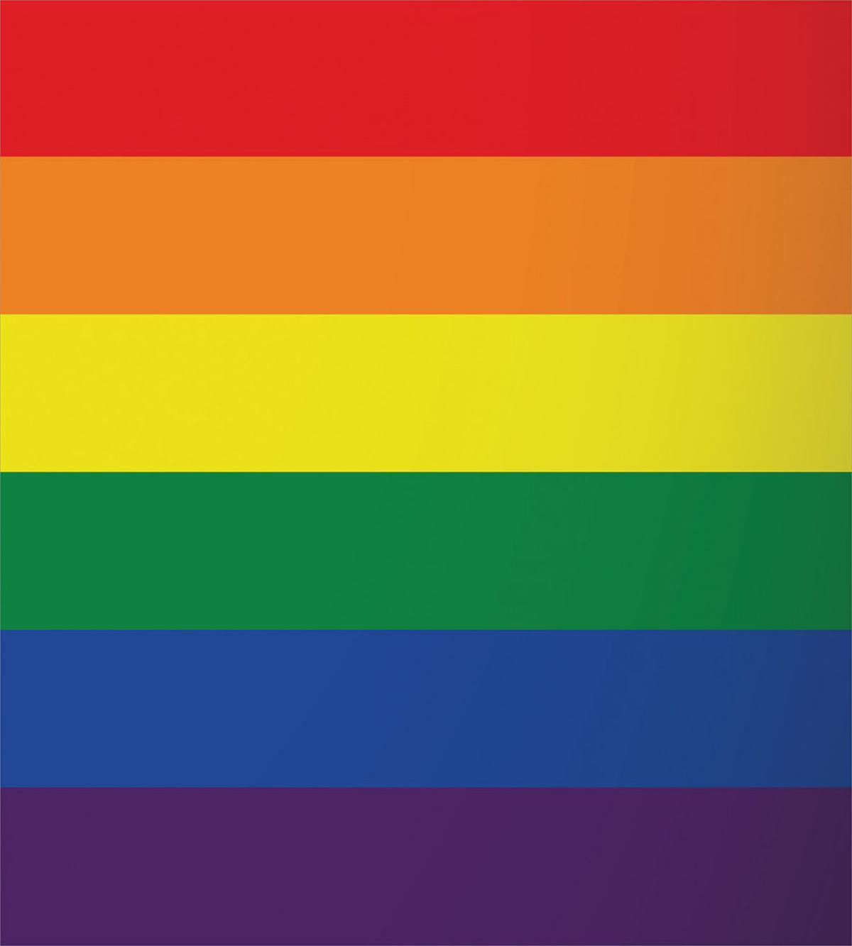 Simplistic Design LGBT Flag — Pattern