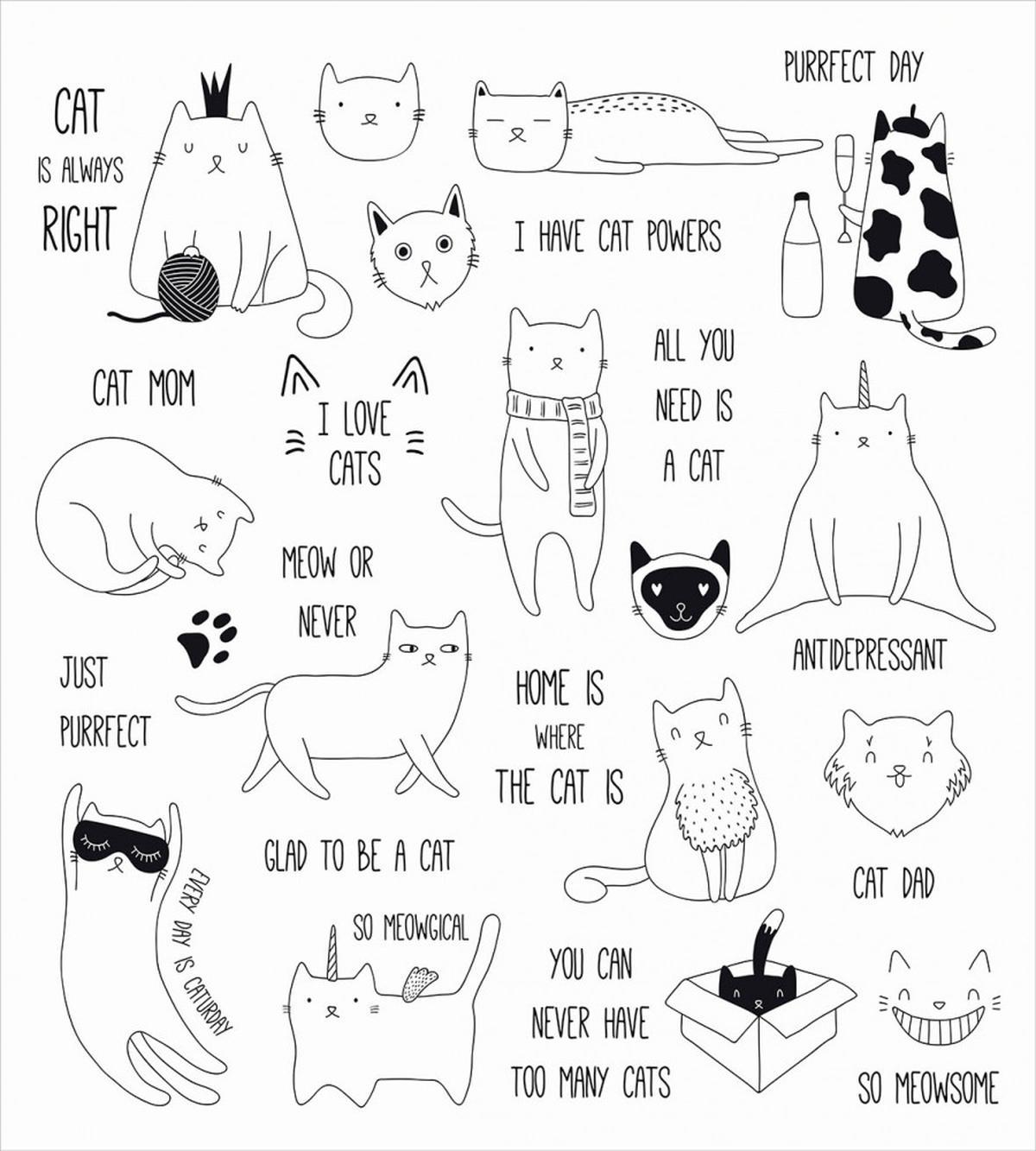 Cat is Always Right Saying — Pattern