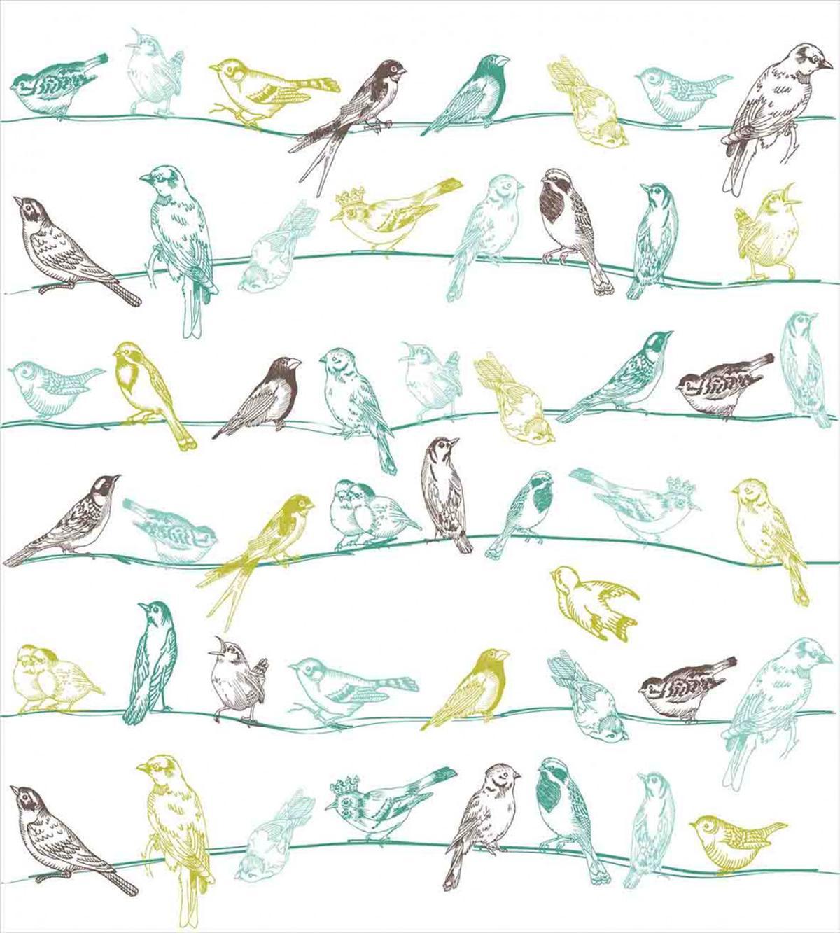 Birds Sitting on Wires — Pattern