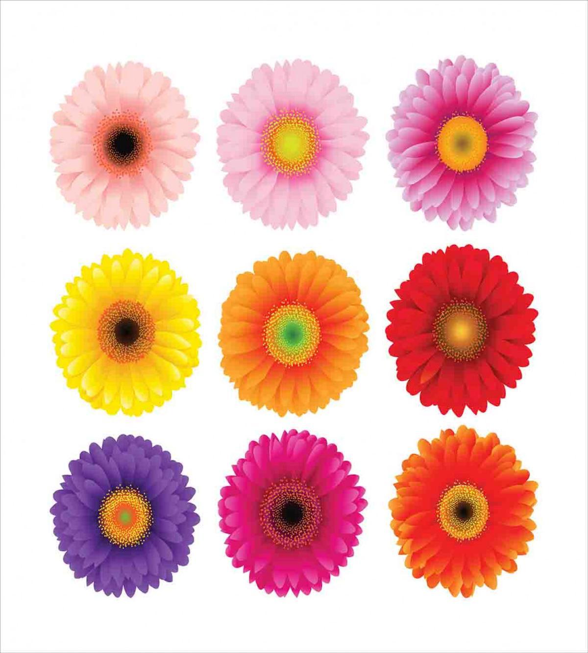 Botany Garden Plants — Pattern