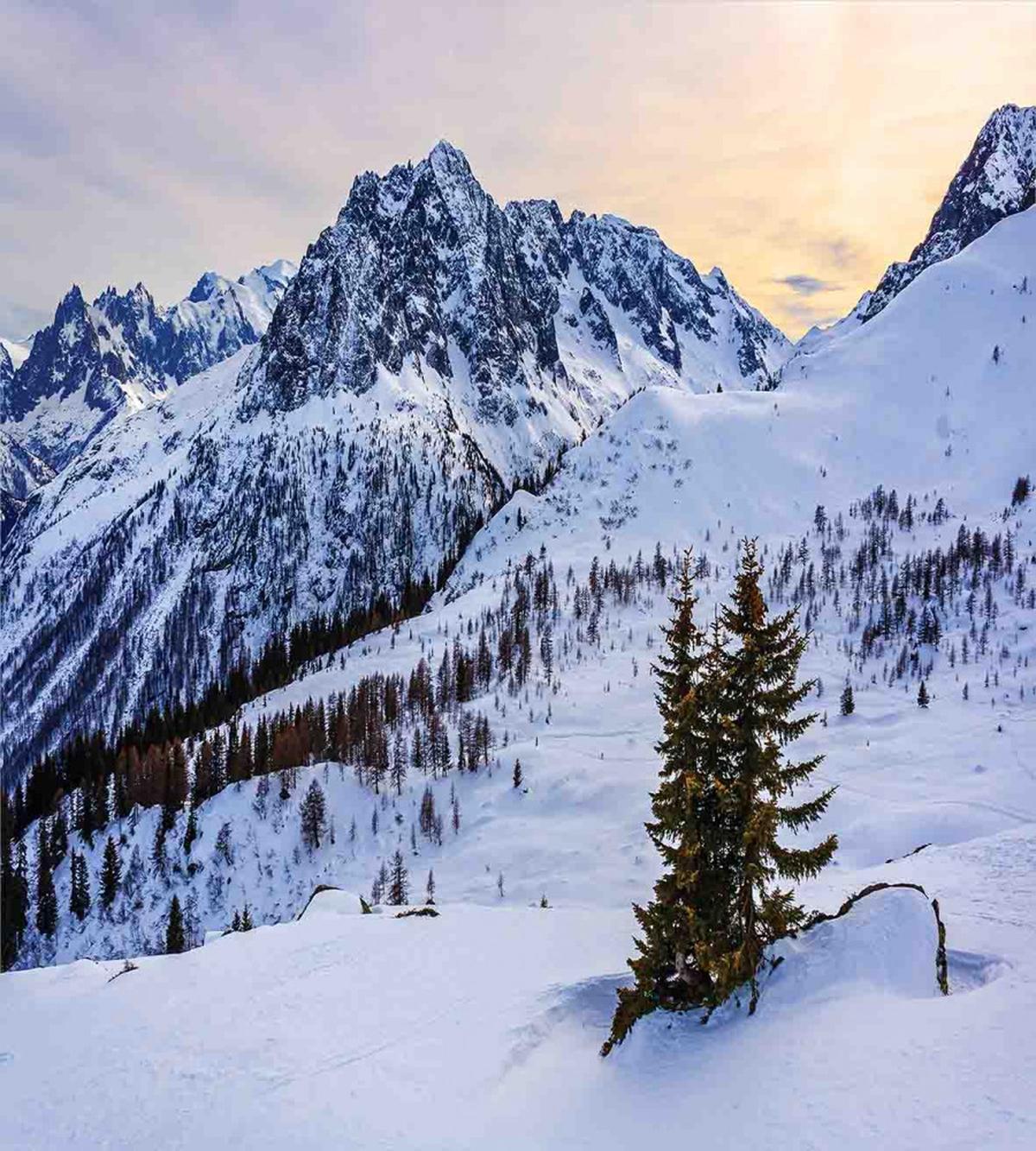 Snowy Mountain Winter — Pattern
