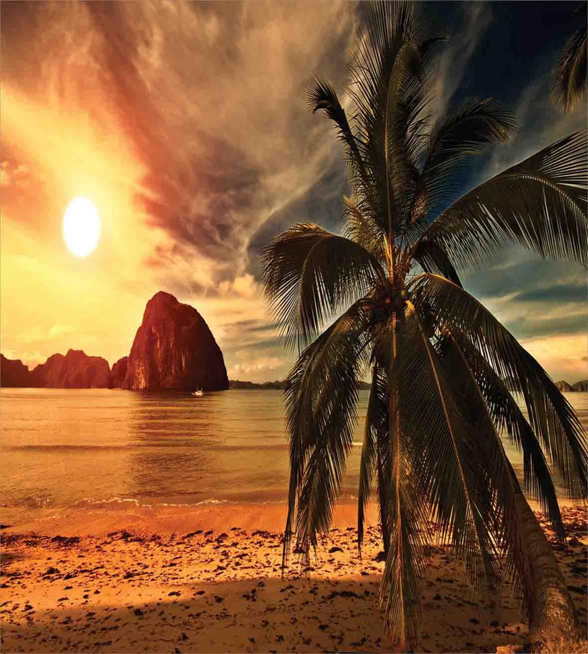 Coconut Palm Tree Beach — Pattern