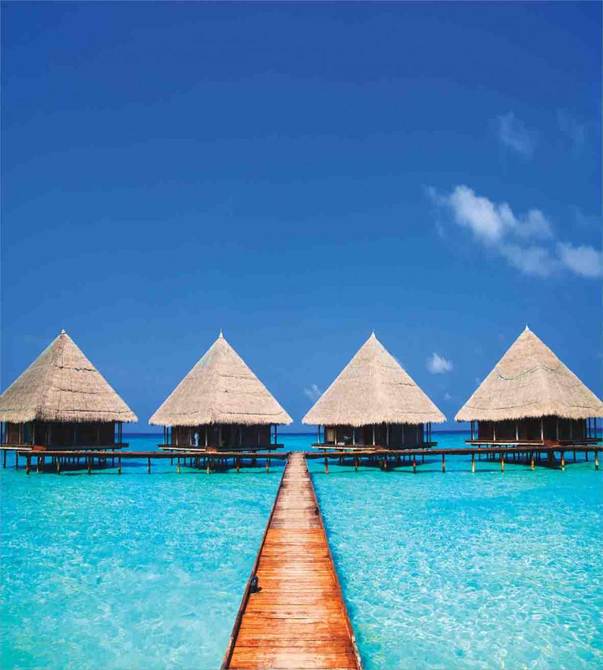 Maldives Clear Waters — Pattern
