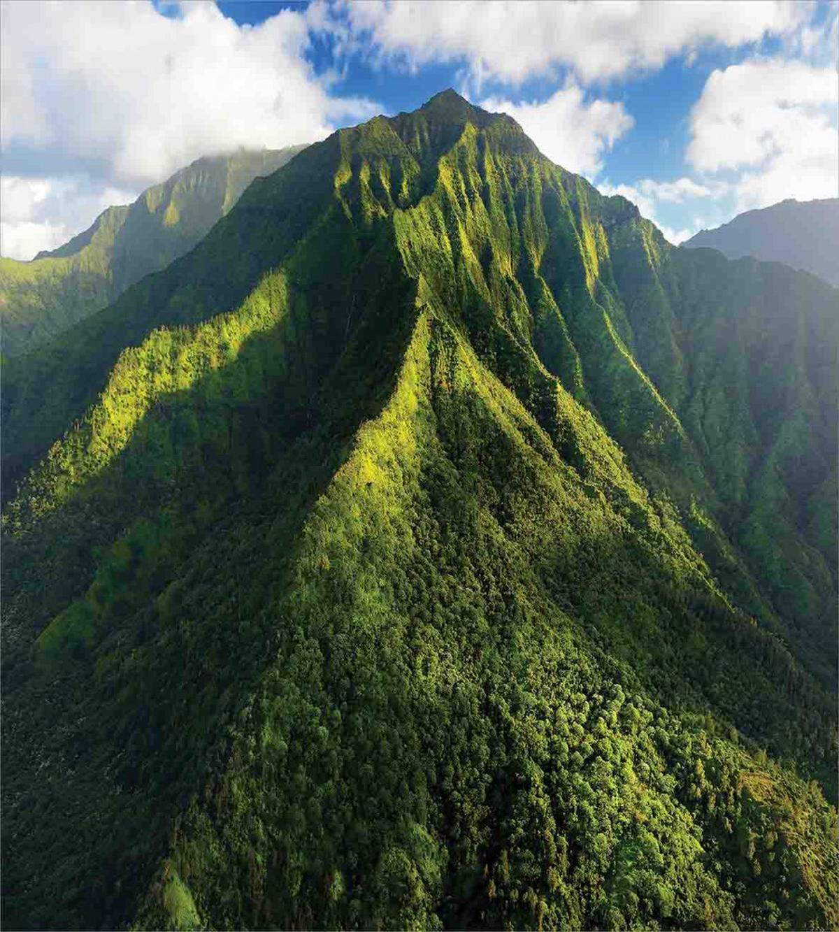 Exotic Hawaii Nature — Pattern