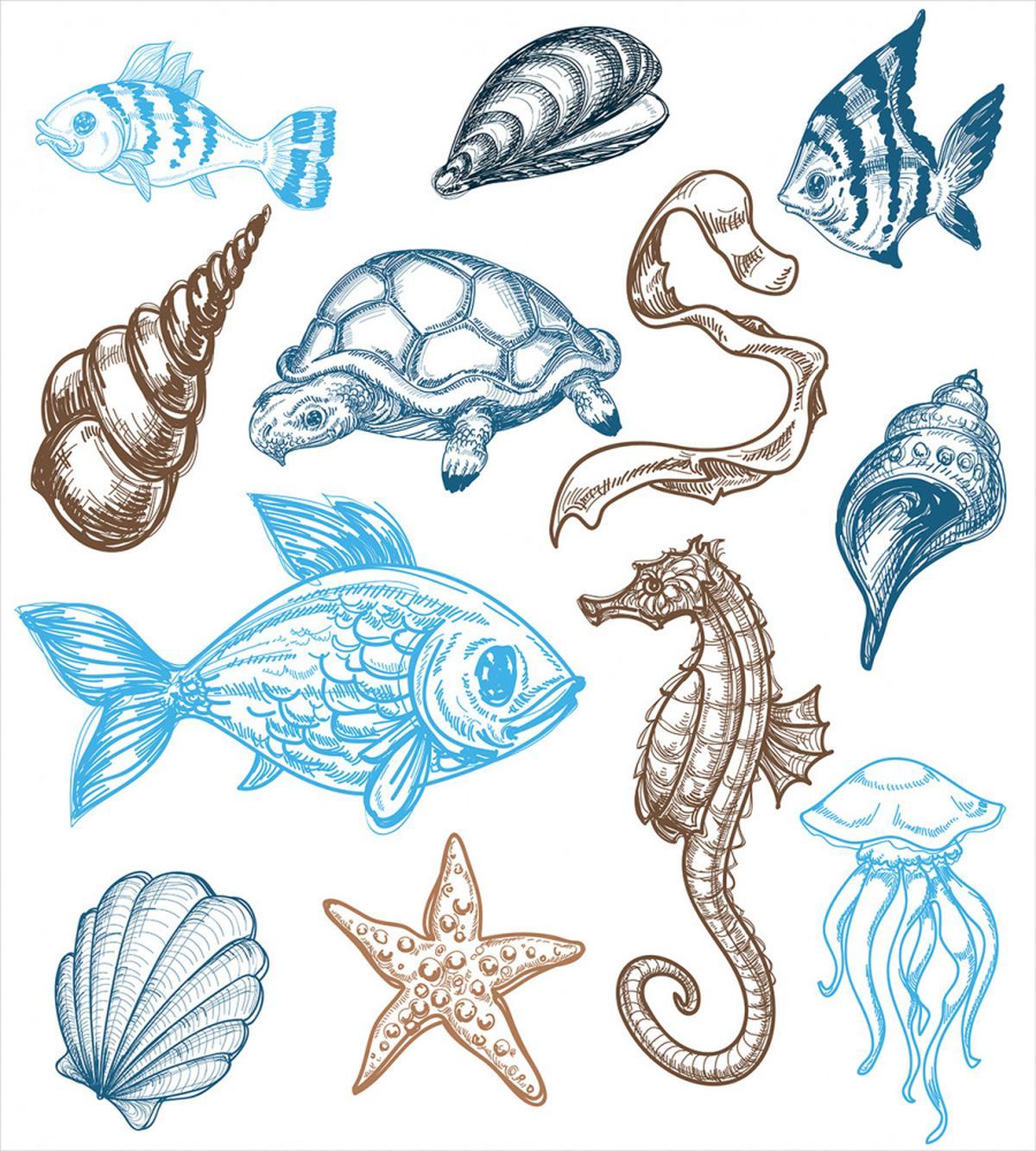 Underwater Marine Life — Pattern