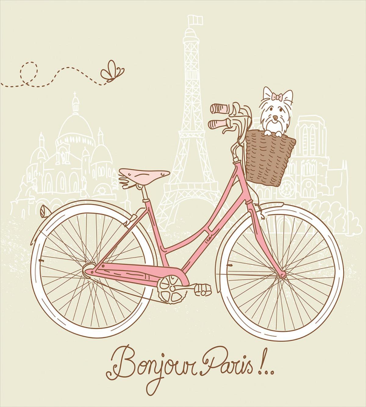Postcard from Paris Bicycle — Pattern