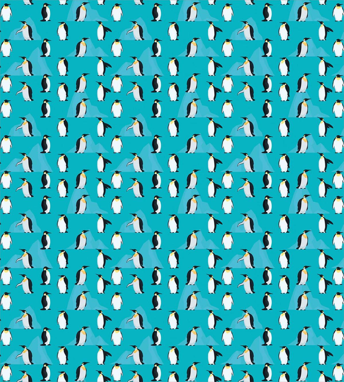 Penguins — Pattern