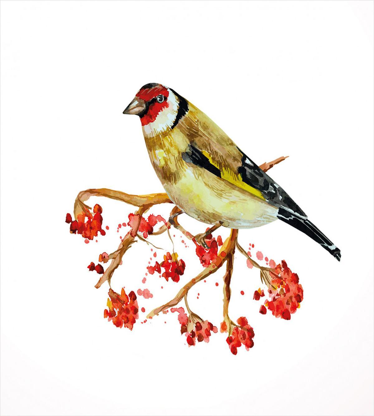 Wild Bird on Berry Branch — Pattern