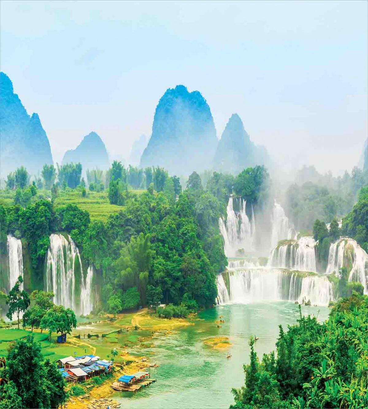 Misty Jungle Forest — Pattern