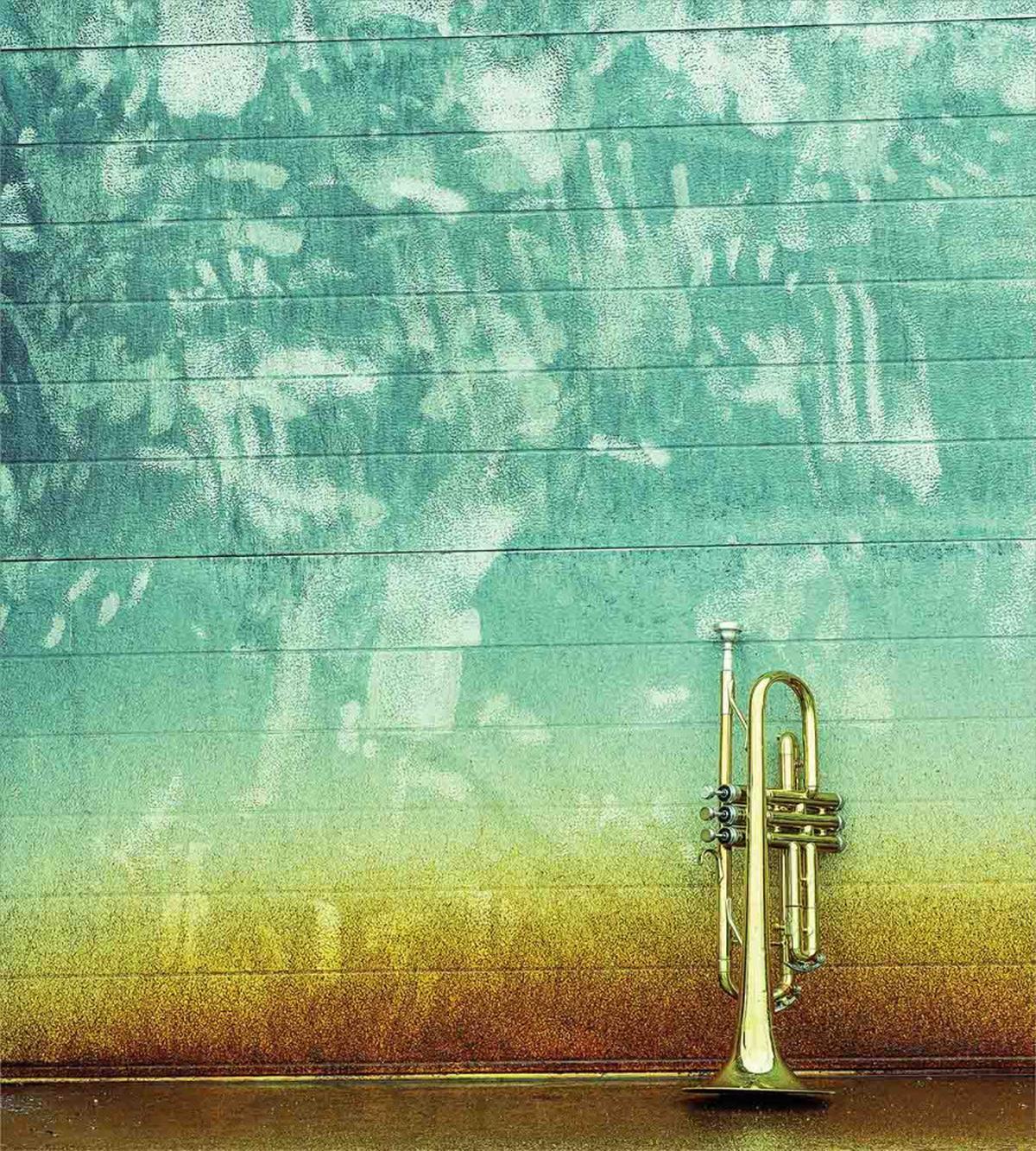 Old Worn Trumpet Grungy — Pattern