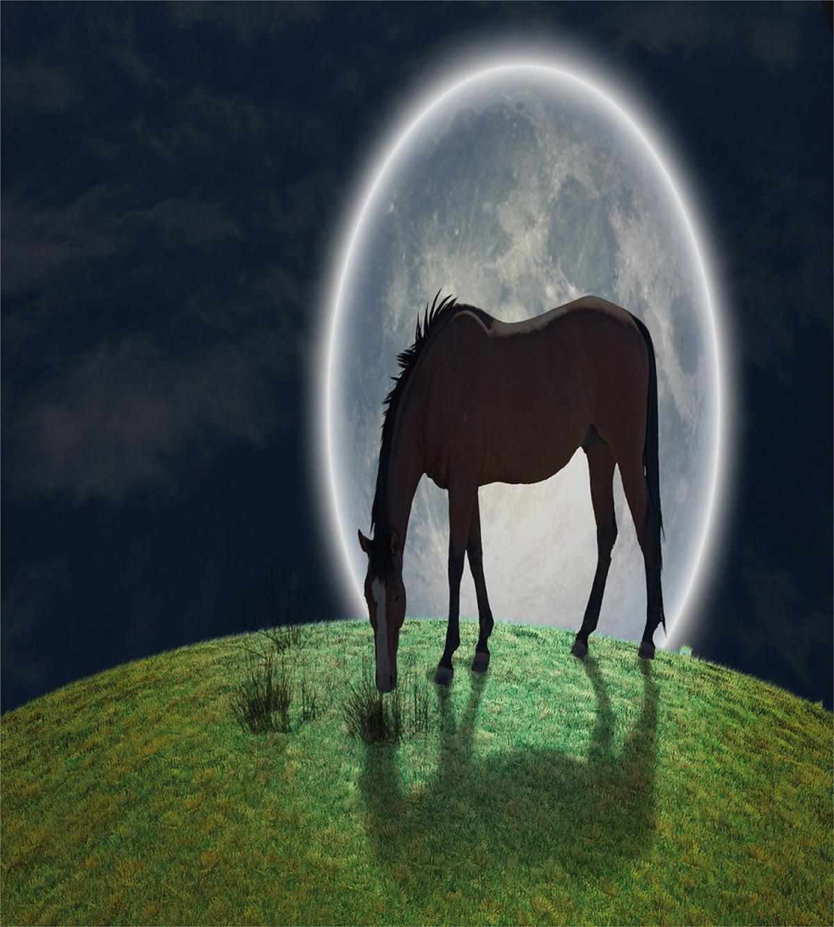 Horse on Hill Full Moon — Pattern
