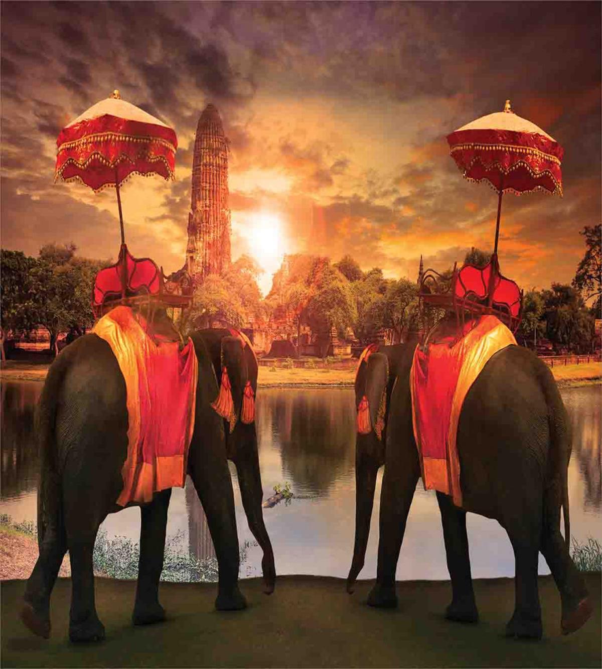Sunset Animals Lake — Pattern