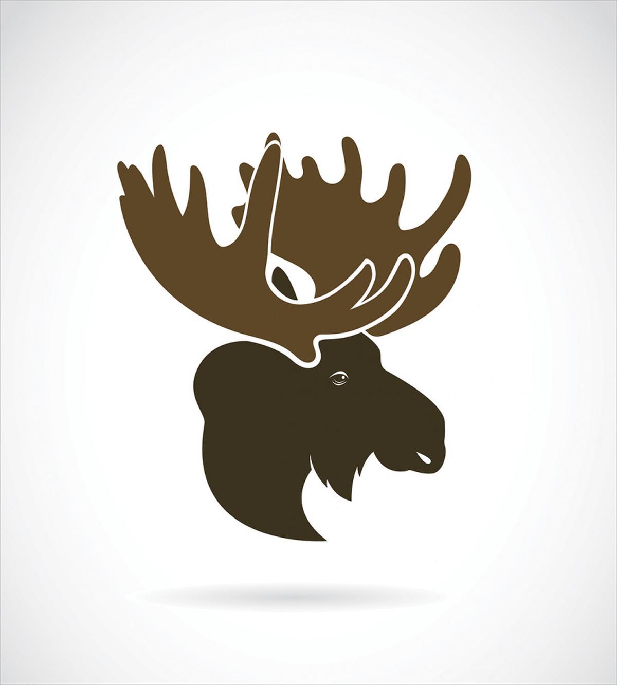 Canadian Deer Head — Pattern