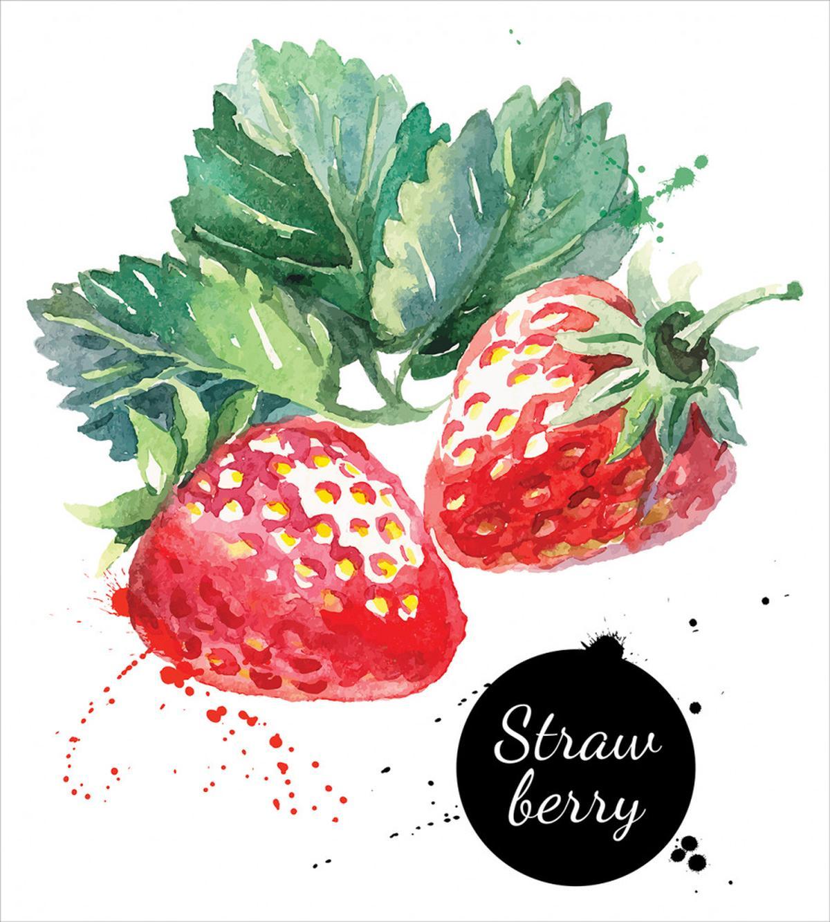 Appetizing Strawberries — Pattern