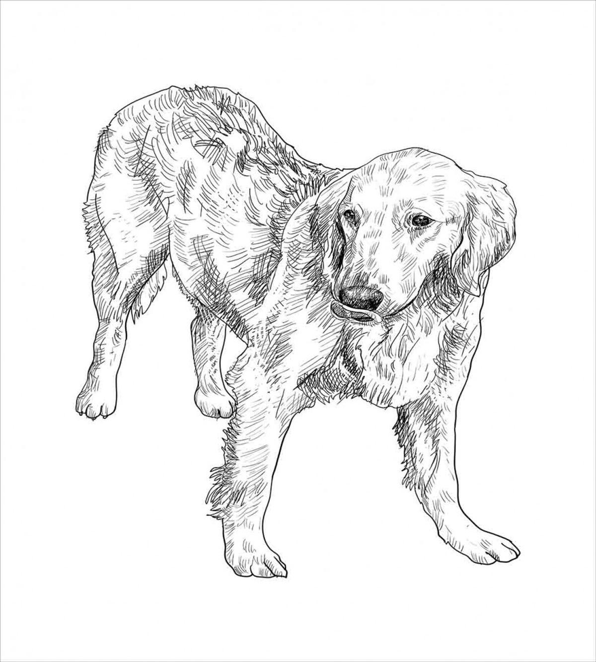 Young Dog Art — Pattern