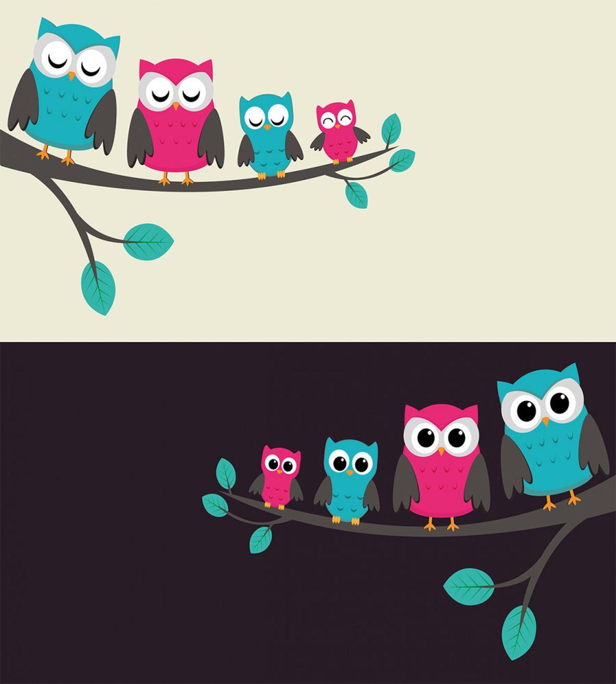 Family of Owls — Pattern