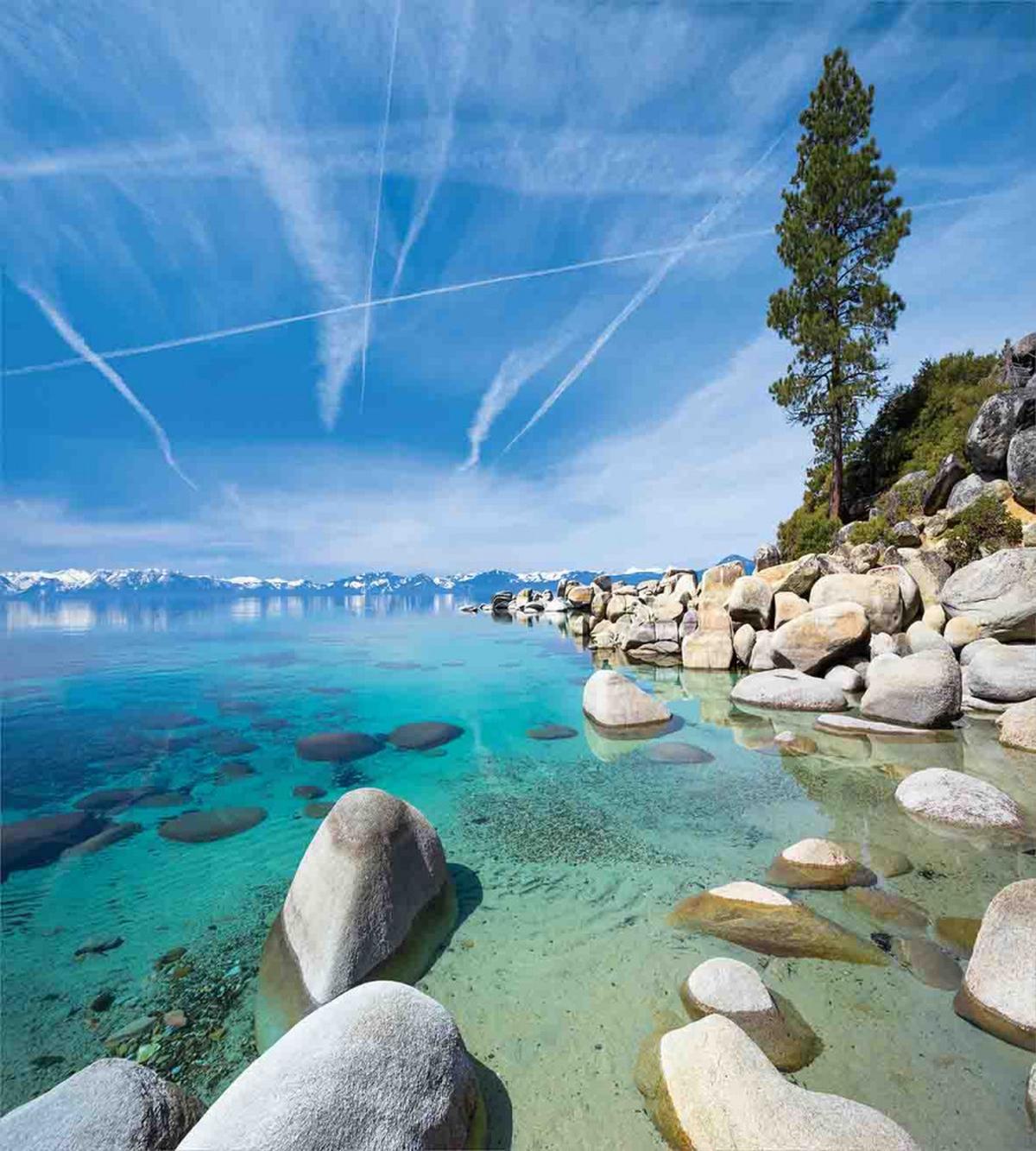 Coastal Tropical Tahoe — Pattern