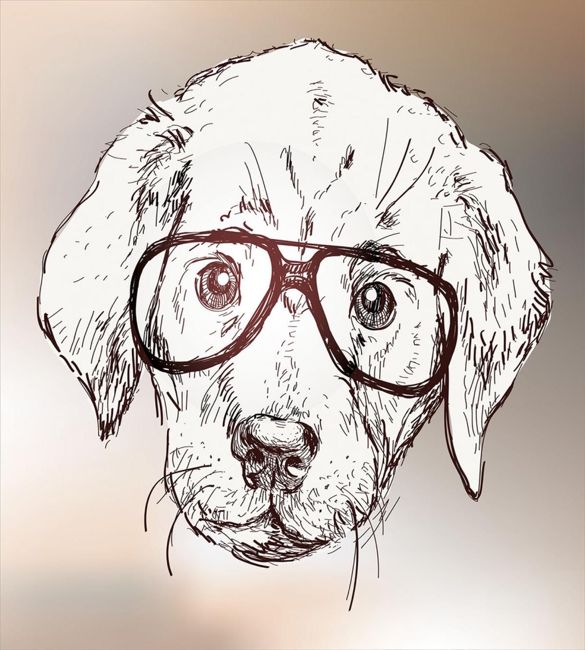Hipster Puppy Glasses — Pattern