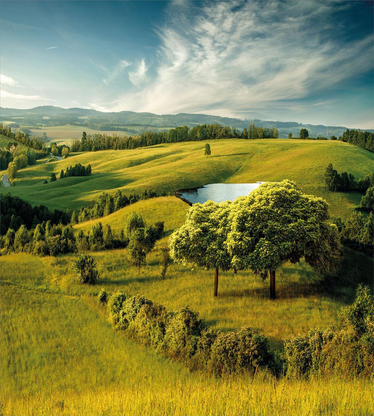 Countryside Forest Lake — Pattern