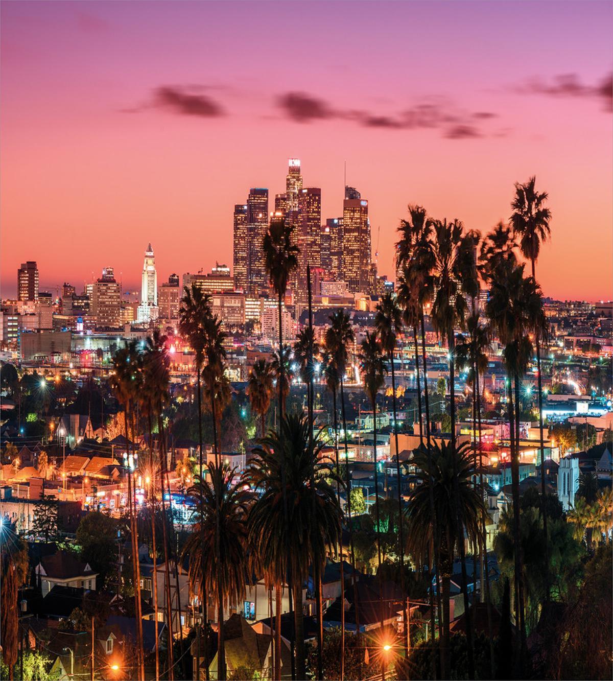 Los Angeles Palms — Pattern