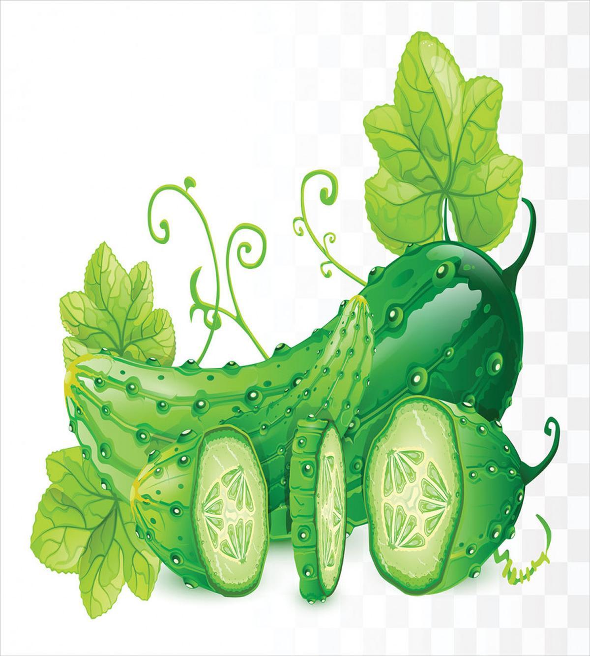 Juicy Cucumber Graphic — Pattern