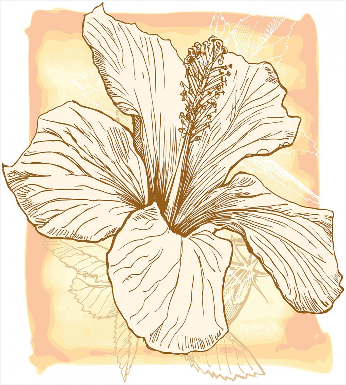 Large Hibiscus Flower Petals — Pattern