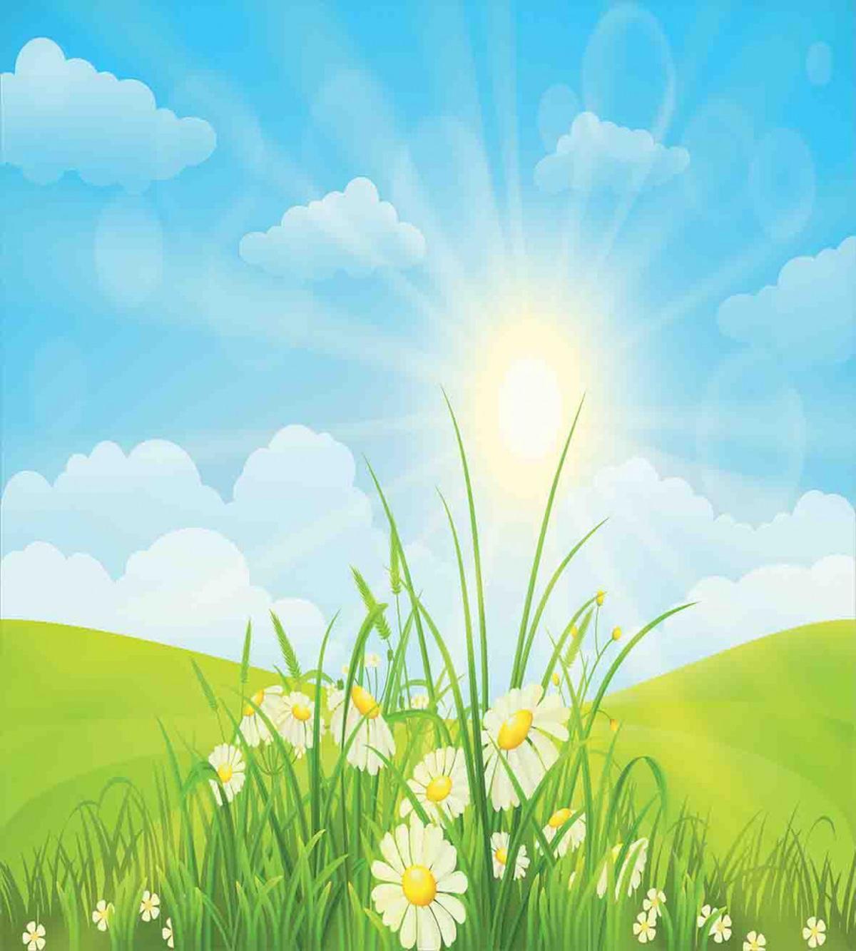 Floral Meadow Illustration — Pattern