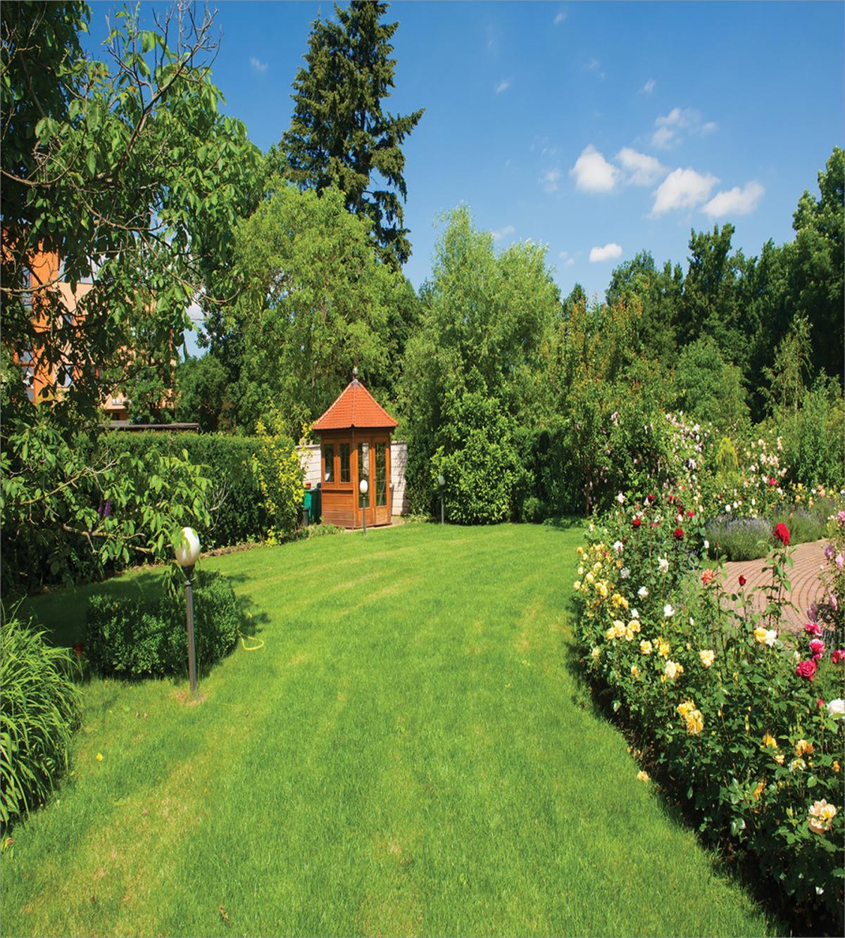Roses Pathway Gazebo — Pattern