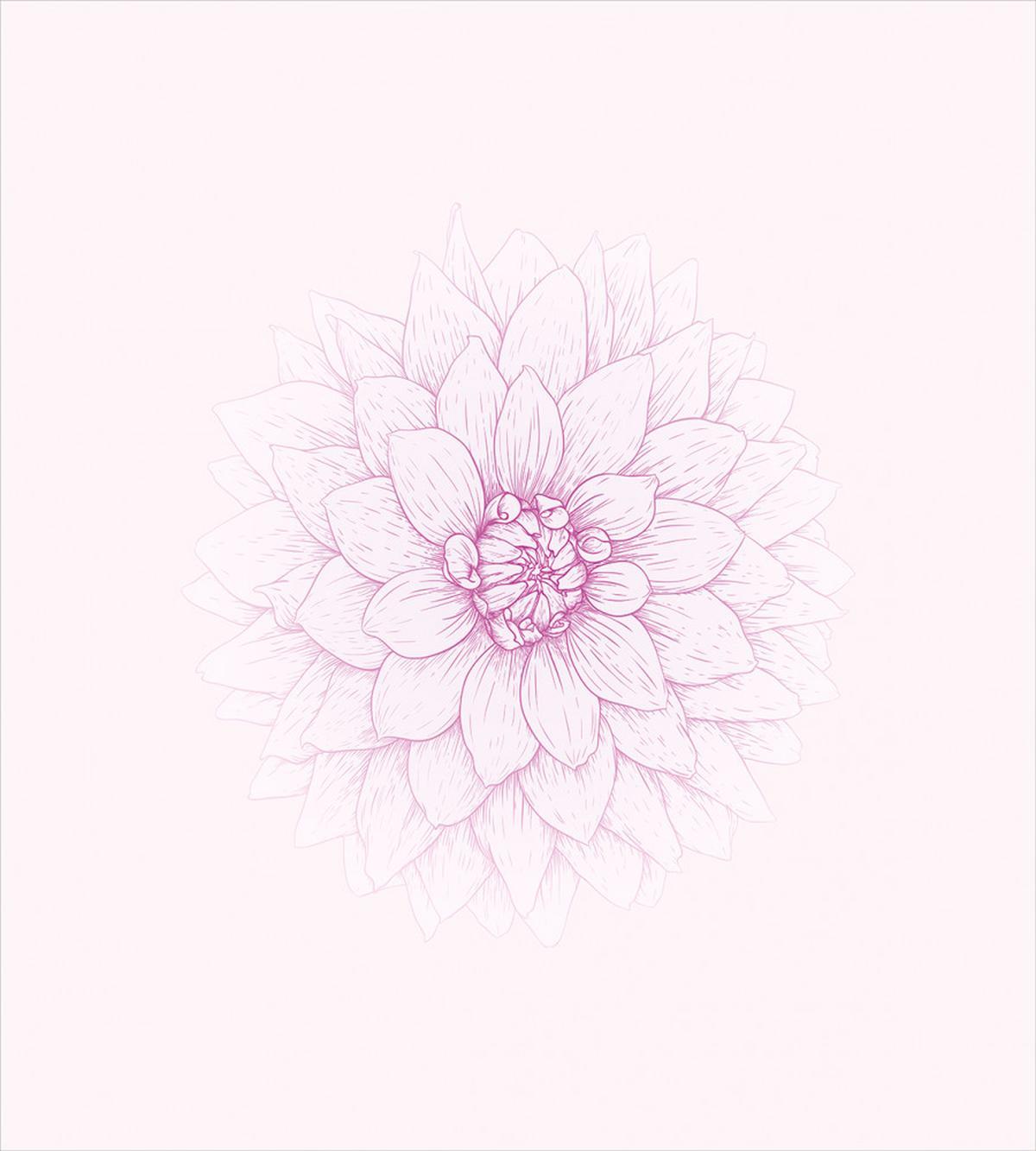 Close up Petal Sketch — Pattern