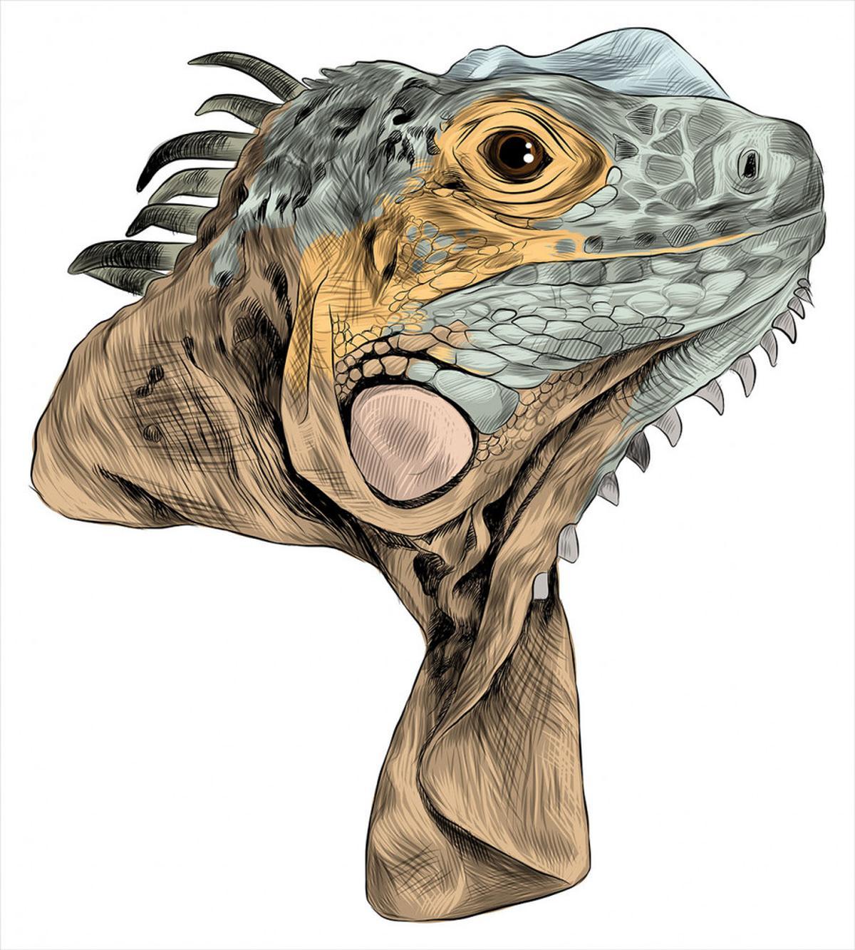 Animal Portrait Flappy Neck — Pattern