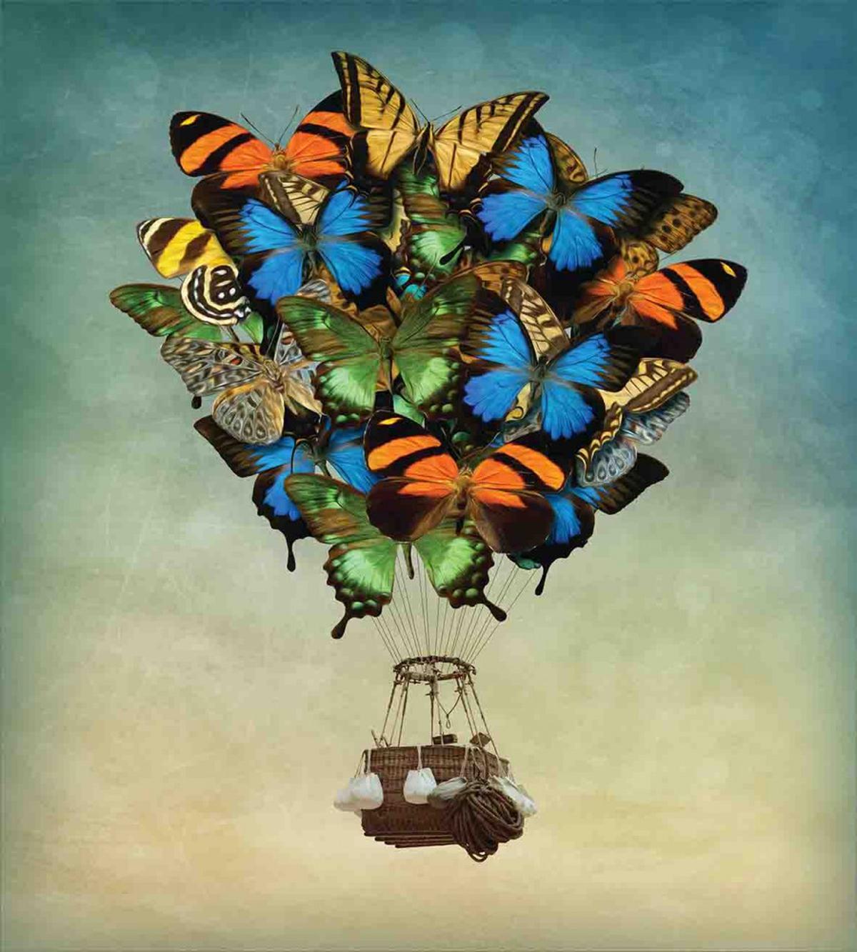 Spring Season Animals — Pattern