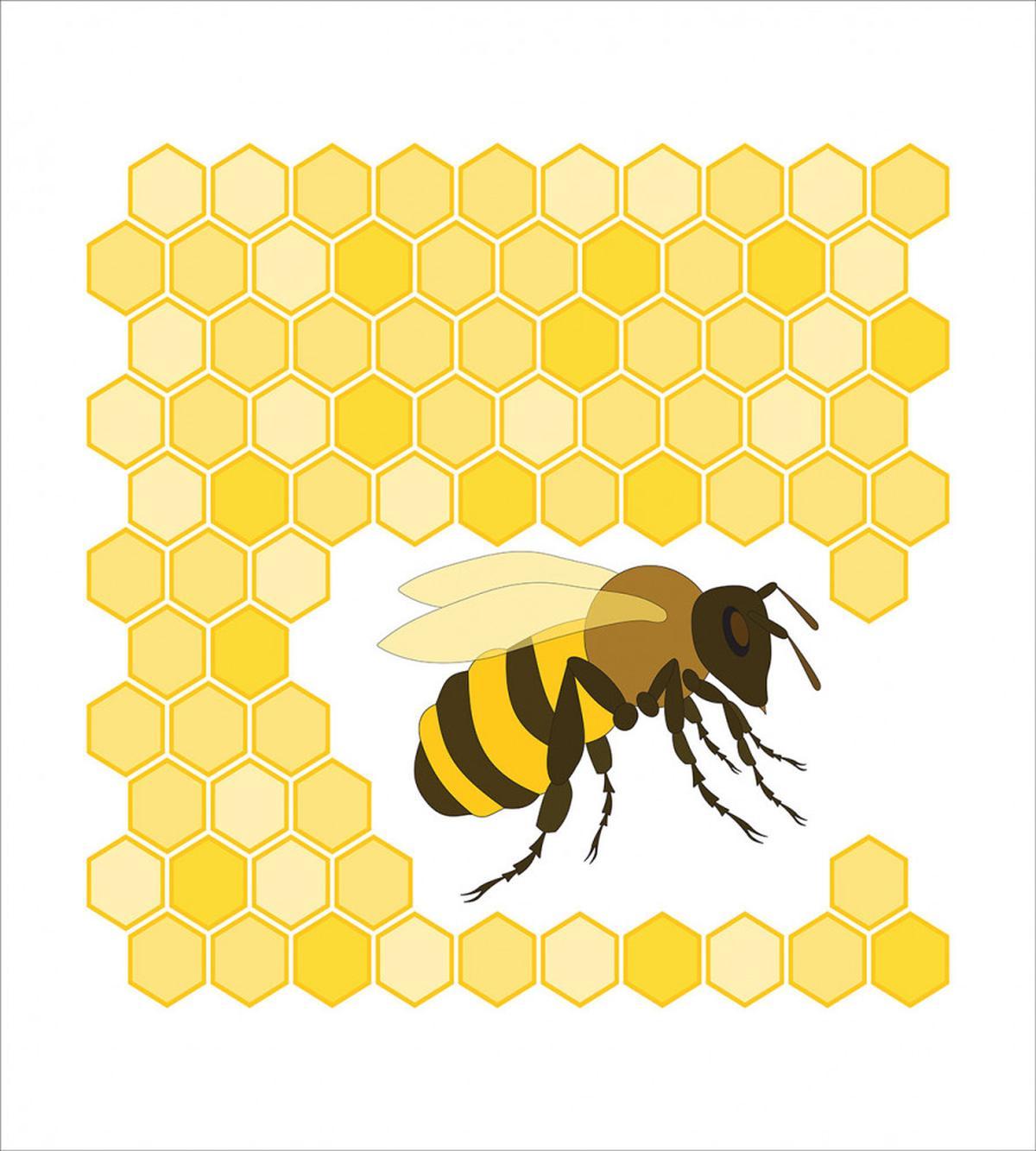 Single Bugnd Hexagons — Pattern