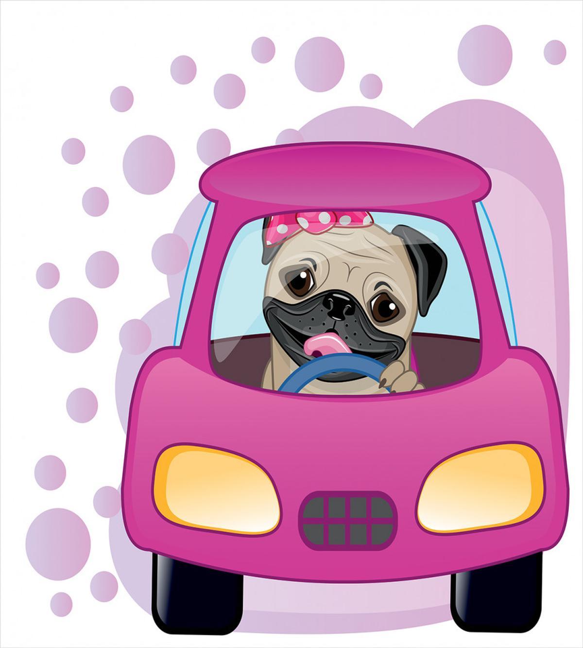 Dog Driving on Car — Pattern