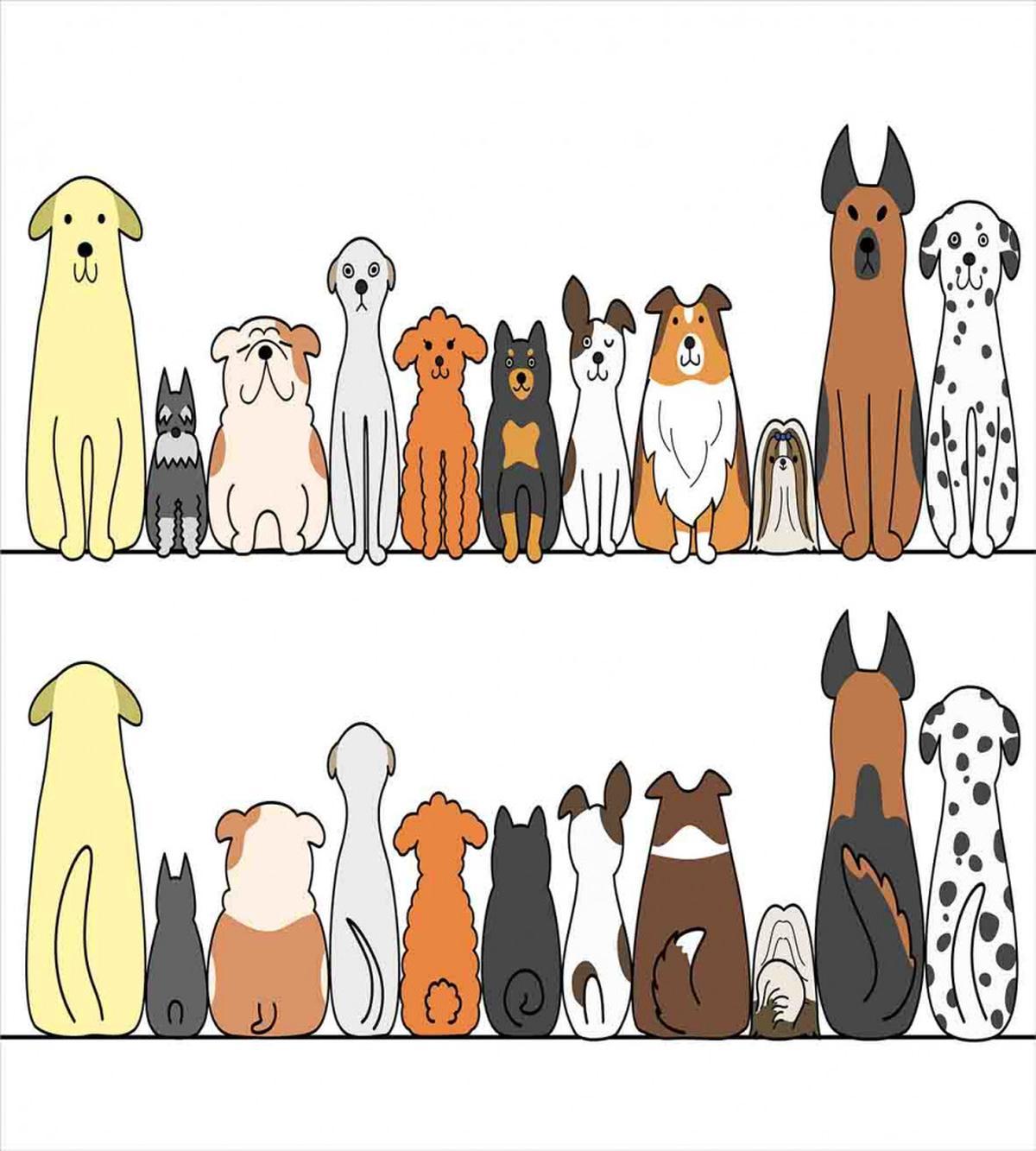 Dog Family in a Row — Pattern