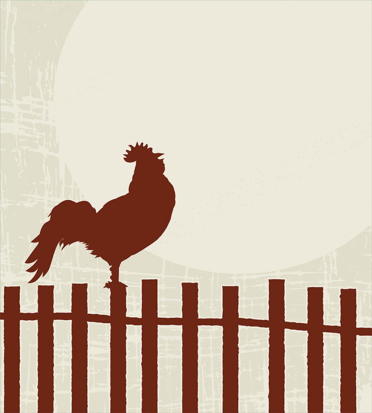 Rooster Silhouette Grunge — Pattern
