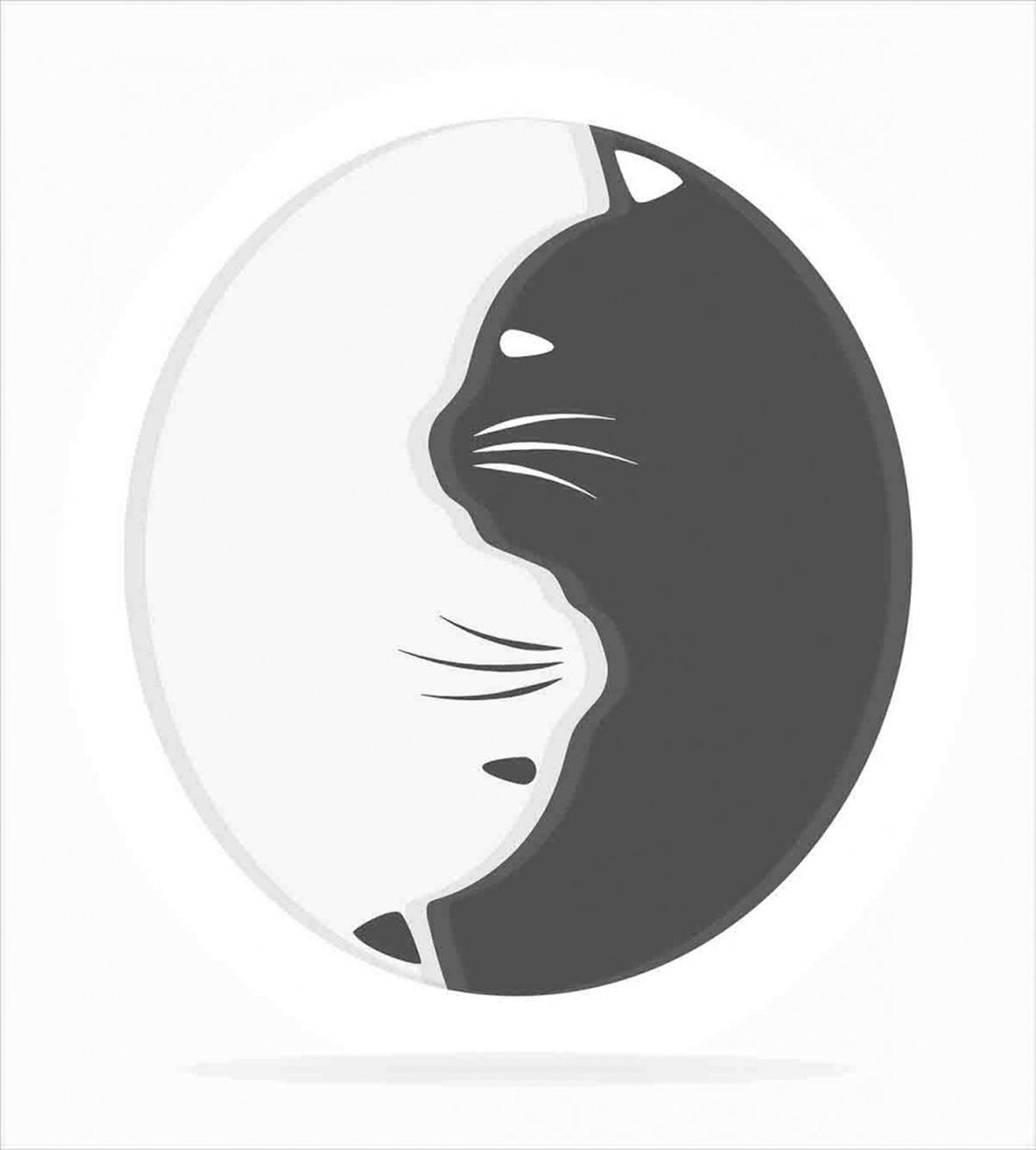 Black and White Cats — Pattern