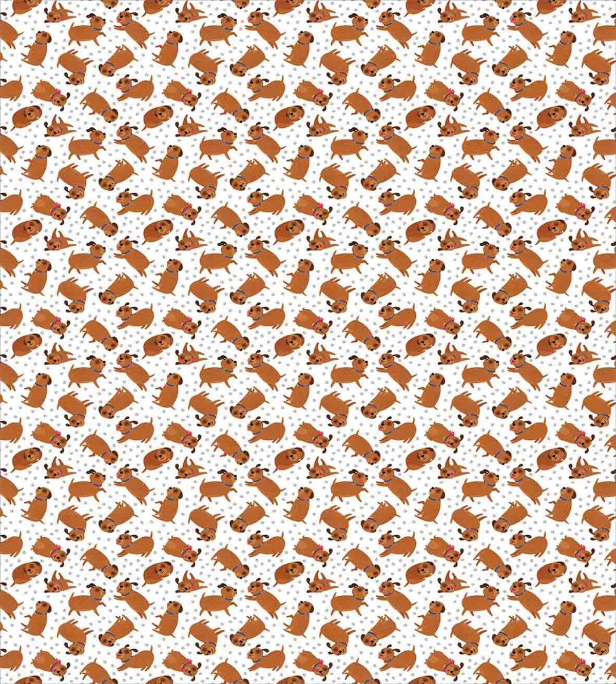 Animals and Paw Prints — Pattern