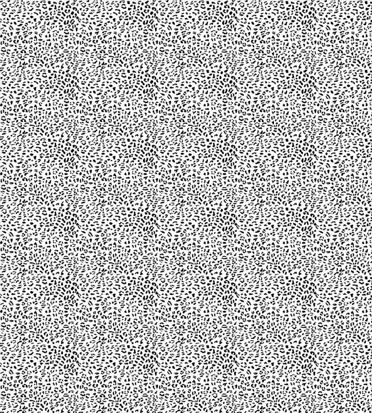 Monochrome Leopard — Pattern