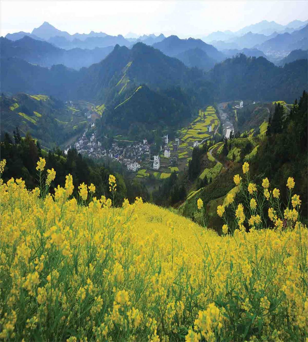 Flower Mountains — Pattern